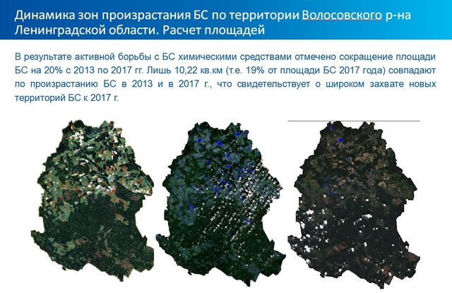 Динамика распространения борщевика на территории Волосовского района (лен. область)