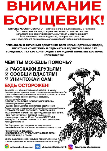 Летняя листовка про борщевик