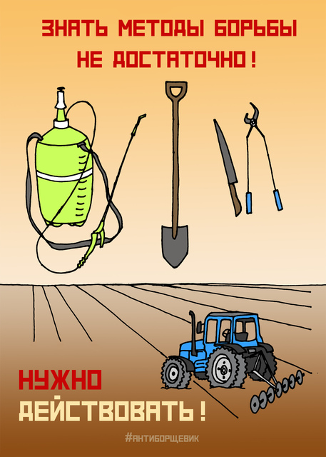 Плакат про борщевик - Знать методы борьбы не достаточно - нужно действовать