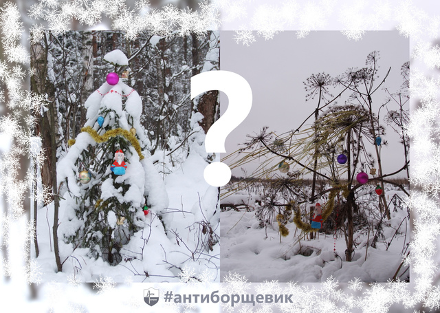 Открытка к новому году про борщевик Сосновского