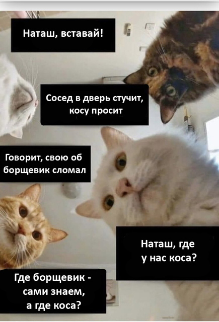 Наташа, вставай косить борщевик