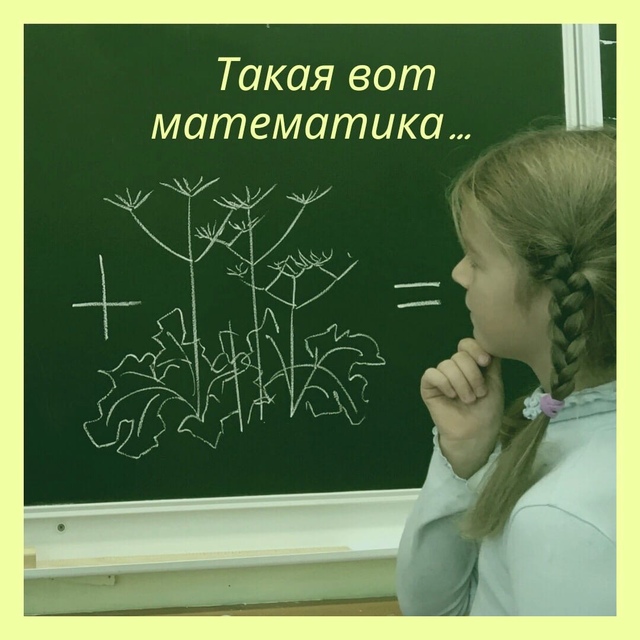 Математические задачки про борщевик Сосновского, сюжеты из реальной жизни